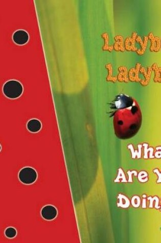 Cover of Ladybug, Ladybug, What Are You Doing?