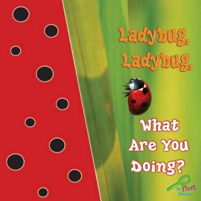 Cover of Ladybug, Ladybug, What Are You Doing?