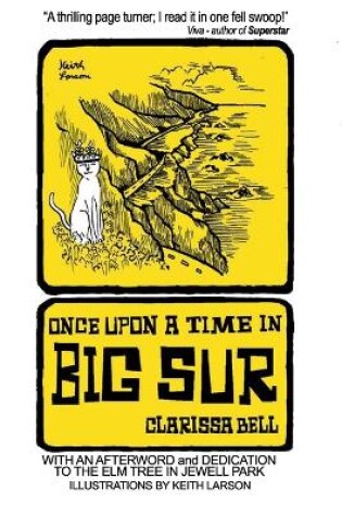 Cover of Once Upon a Time in Big Sur
