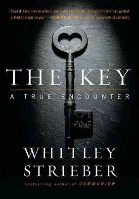 Book cover for The Key