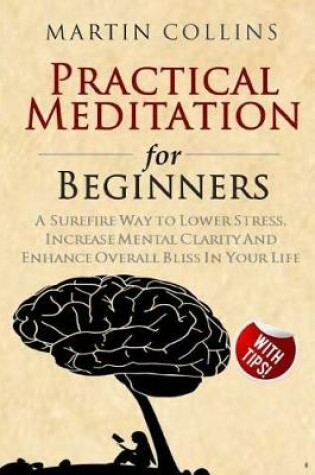 Cover of Practical Meditation for Beginners
