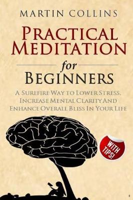Book cover for Practical Meditation for Beginners