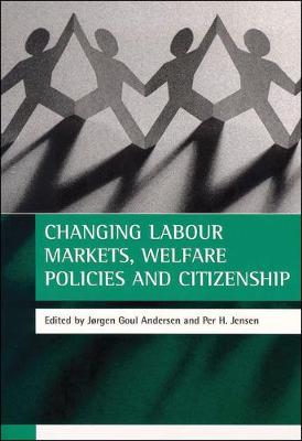 Book cover for Changing Labour Markets, Welfare Policies and Citizenship