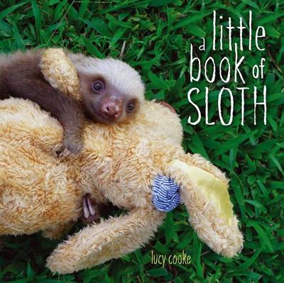 Book cover for A Little Book of Sloth