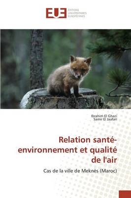 Cover of Relation Sante-Environnement Et Qualite de l'Air