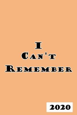 Cover of I Can't Remember Password