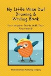 Book cover for My Little Wise Owl Drawing & Writing Book