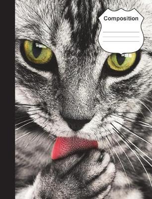 Book cover for Tabby Cat Composition Notebook