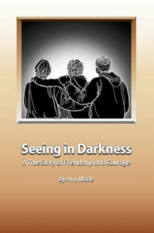 Cover of Seeing in Darkness