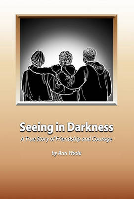 Book cover for Seeing in Darkness