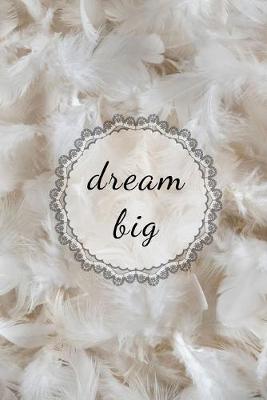 Book cover for Dream Big