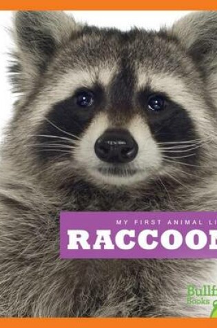 Cover of Raccoons