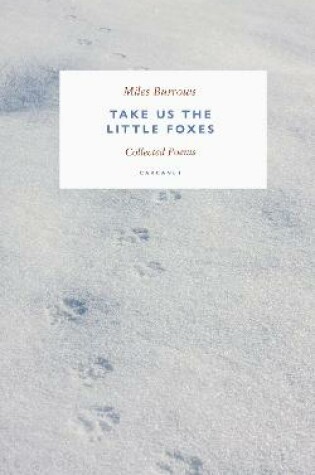 Cover of Take us the Little Foxes