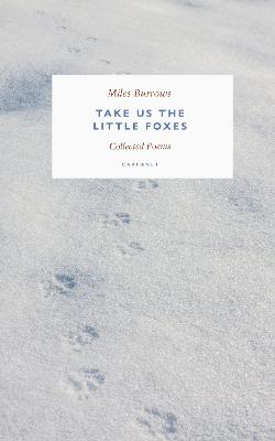 Book cover for Take us the Little Foxes