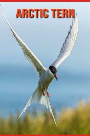 Cover of Arctic Tern