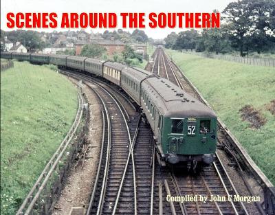 Book cover for Scenes Around the Southern