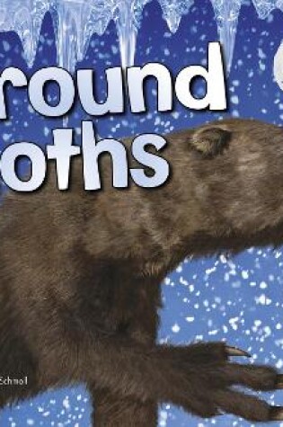 Cover of Ground Sloths