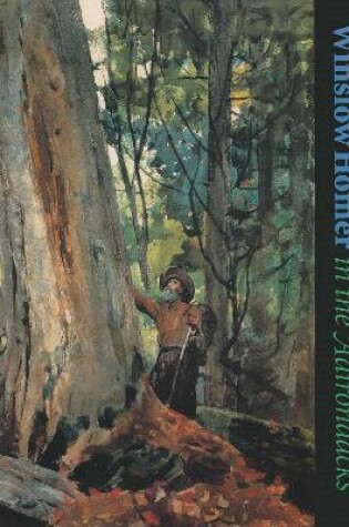 Cover of Winslow Homer in the Adirondacks