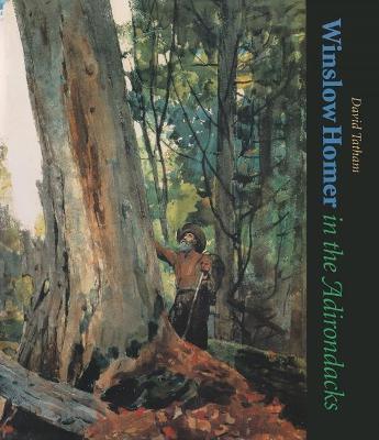 Cover of Winslow Homer in the Adirondacks