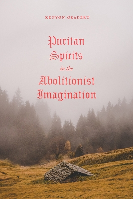 Book cover for Puritan Spirits in the Abolitionist Imagination