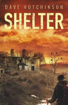 Book cover for Shelter