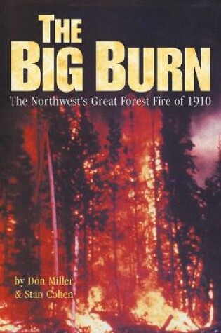 Cover of Big Burn