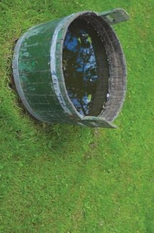 Cover of Bucket of Rainwater on the Grass Journal