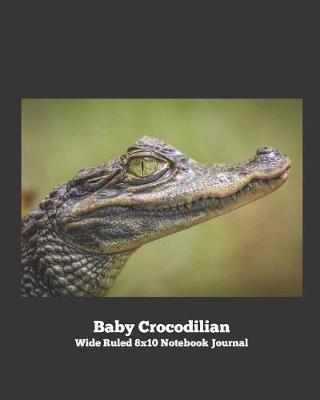 Book cover for Baby Crocodilian Wide Ruled 8x10 Notebook Journal