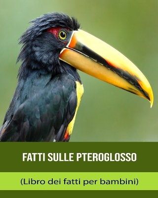 Book cover for Fatti sulle Pteroglosso (Libro dei fatti per bambini)