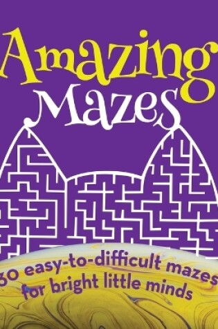 Cover of Amazing Mazes and Riddles