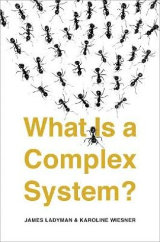 Cover of What Is a Complex System?