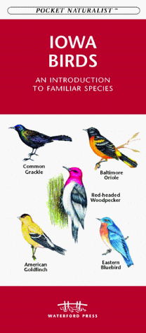 Cover of Iowa Birds