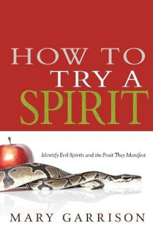 Cover of How to Try a Spirit