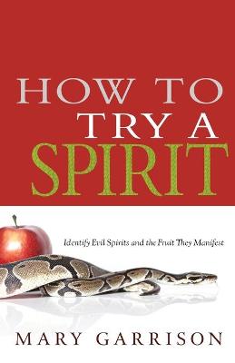 Book cover for How to Try a Spirit