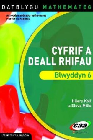 Cover of Datblygu Mathemateg: Cyfrif a Deall Rhifau Blwyddyn 6