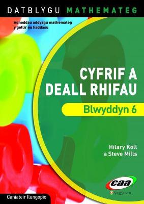 Book cover for Datblygu Mathemateg: Cyfrif a Deall Rhifau Blwyddyn 6