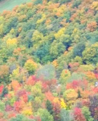 Cover of School Composition Book Fall Foliage Mountain View 130 Pages