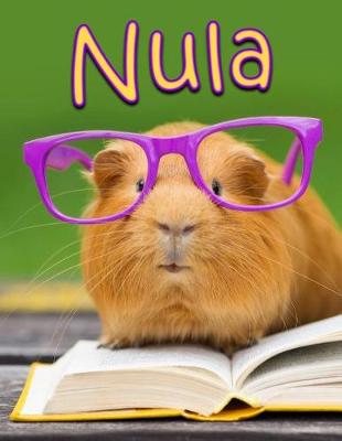 Book cover for Nula