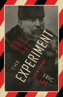 Book cover for The Experiment