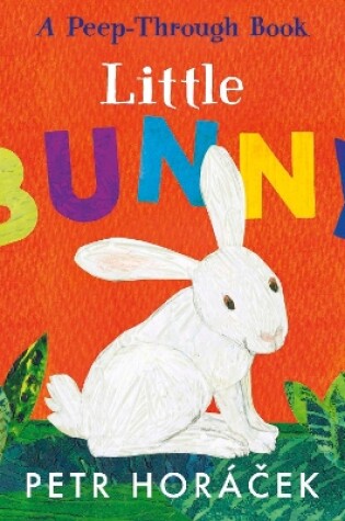 Cover of Little Bunny