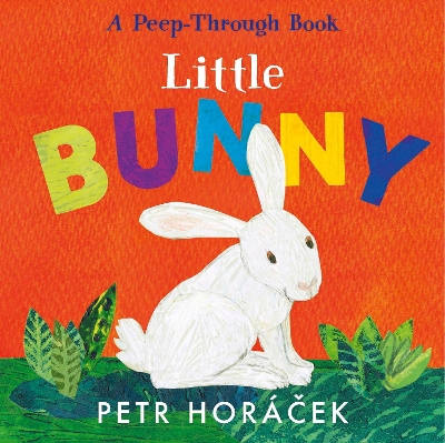 Book cover for Little Bunny