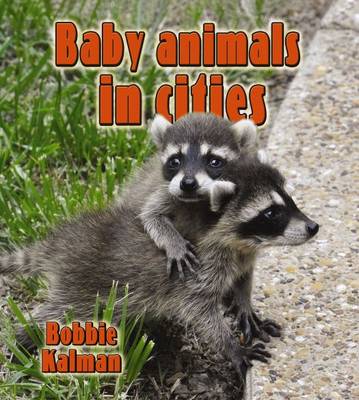 Book cover for Baby Animals in Cities