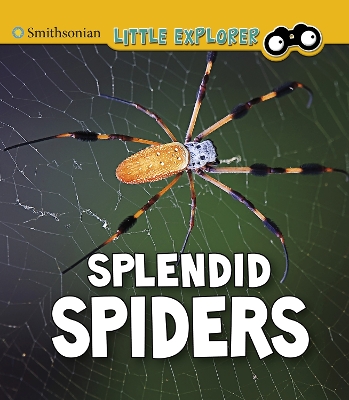 Book cover for Splendid Spiders