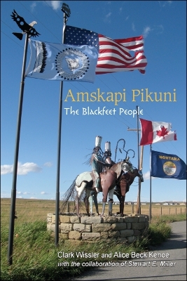 Book cover for Amskapi Pikuni