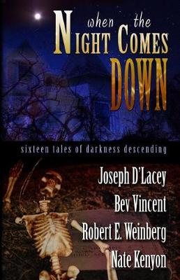 Book cover for When The Night Comes Down