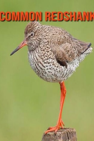 Cover of Common Redshank