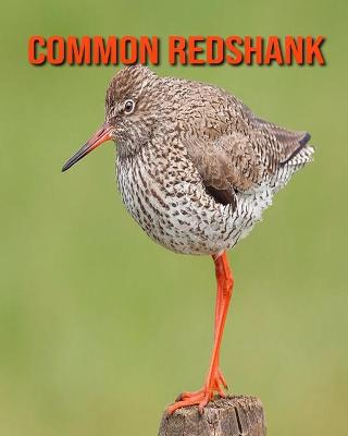 Book cover for Common Redshank