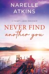 Book cover for Never Find Another You