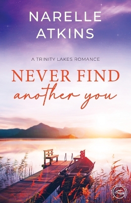 Book cover for Never Find Another You