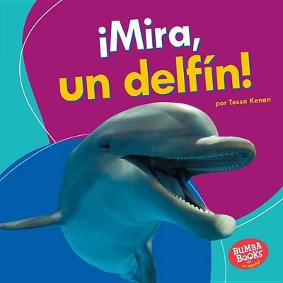 Book cover for ¡Mira, un delfín! (Look, a Dolphin!)